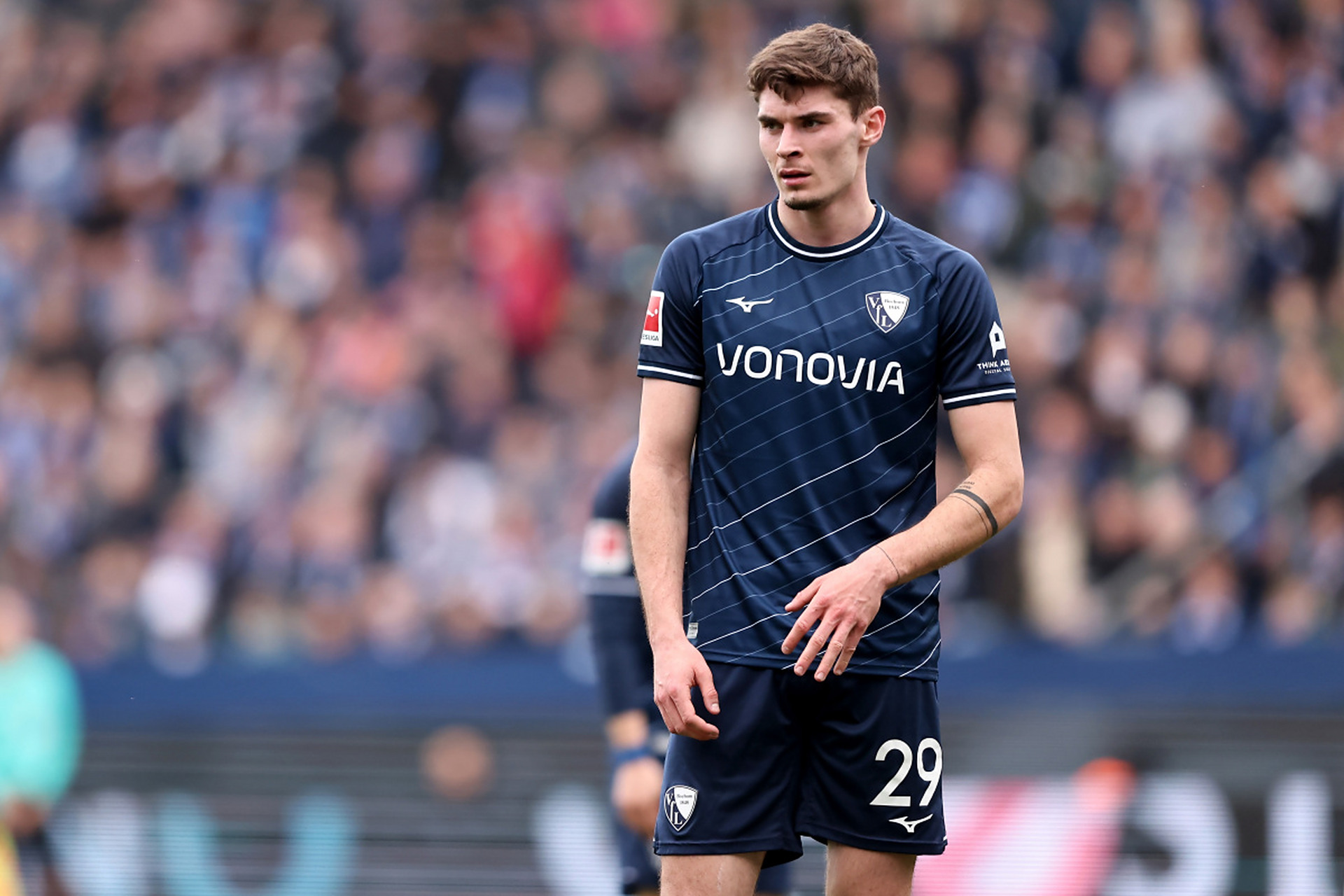 因为它直接 因为它直接